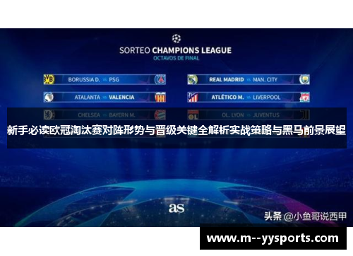 新手必读欧冠淘汰赛对阵形势与晋级关键全解析实战策略与黑马前景展望