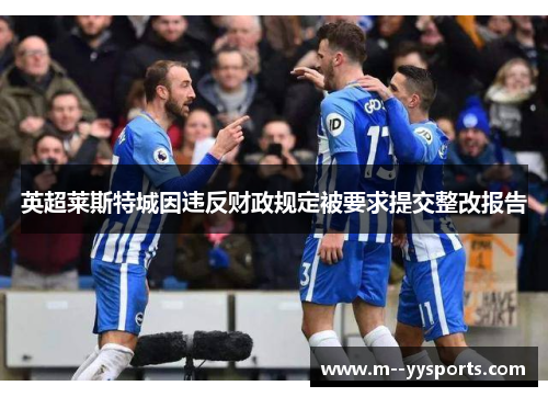 英超莱斯特城因违反财政规定被要求提交整改报告