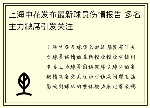 上海申花发布最新球员伤情报告 多名主力缺席引发关注